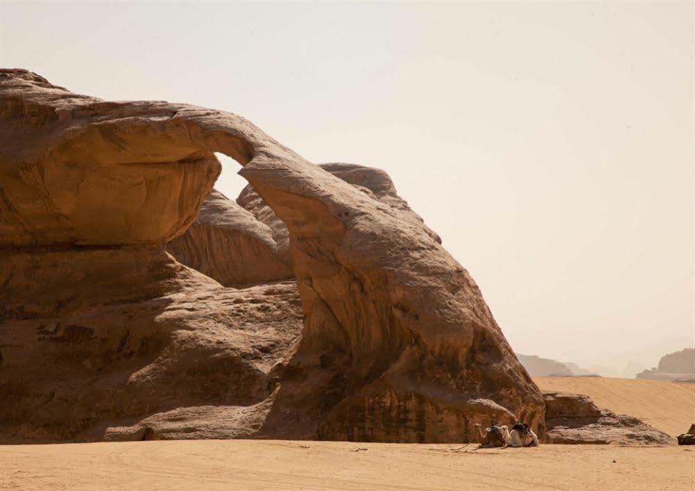 Wadi Rum Caravan Camp Exterior photo
